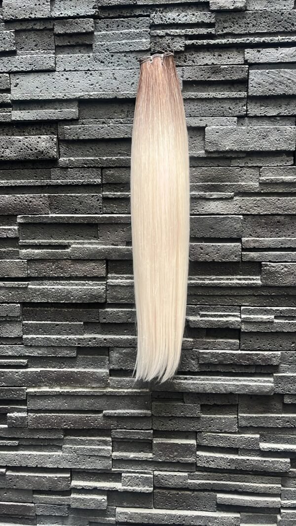 Ombre Barbie