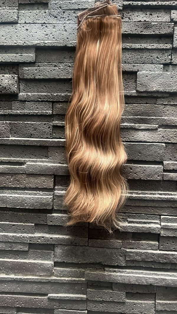 WhatsApp Image 2026-09-04 at 5.50.59 PM Cobre rayos clip